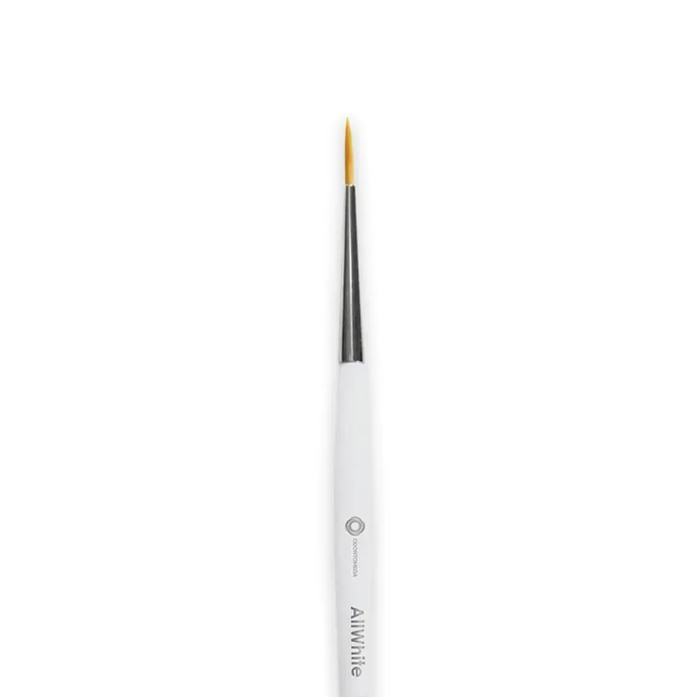 Pincel Allwhite 2 - Odontomega