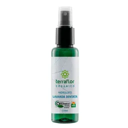 Hidrolato de Lavanda Dentata Orgânico 120ml - Terra Flor