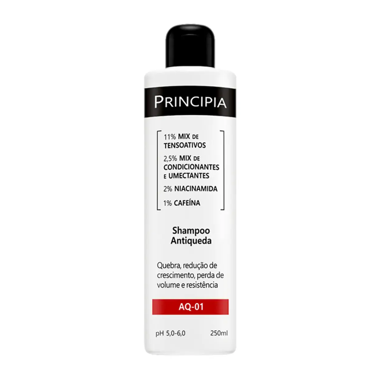 Shampoo Principia Antiqueda AQ-01 250ml