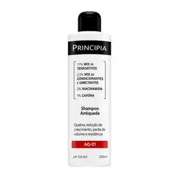 Shampoo Principia Antiqueda AQ-01 250ml