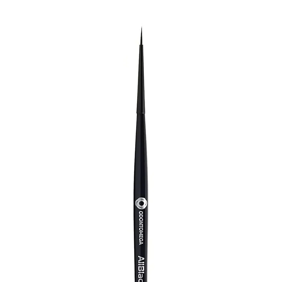 Pincel AllBlack 00 - Odontomega
