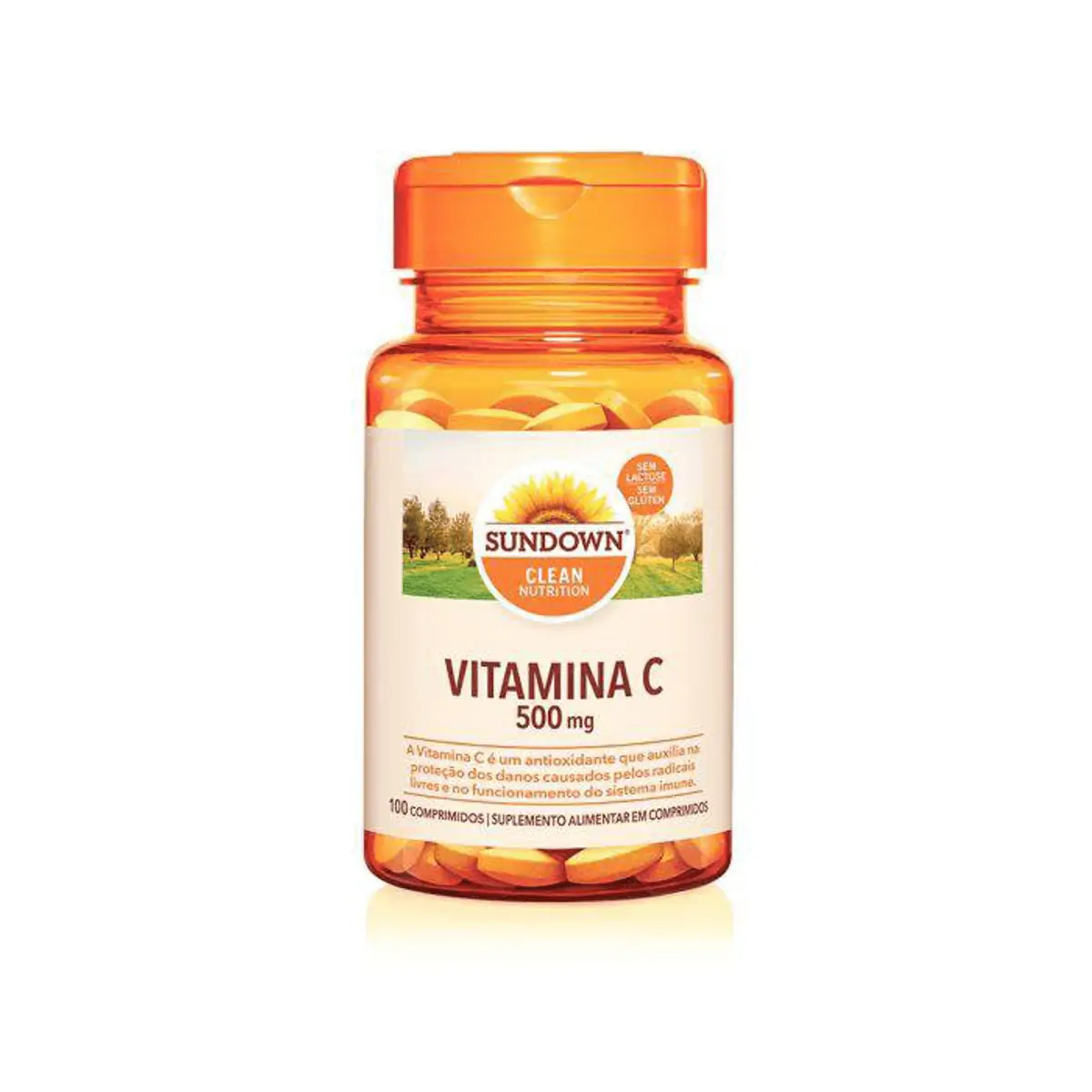Suplemento Alimentar Vitamina C 500mg Sundown 100 Comprimidos