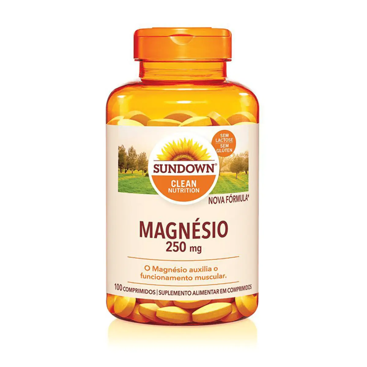 Suplemento Alimentar Magnésio 250mg Sundown 100 Comprimidos