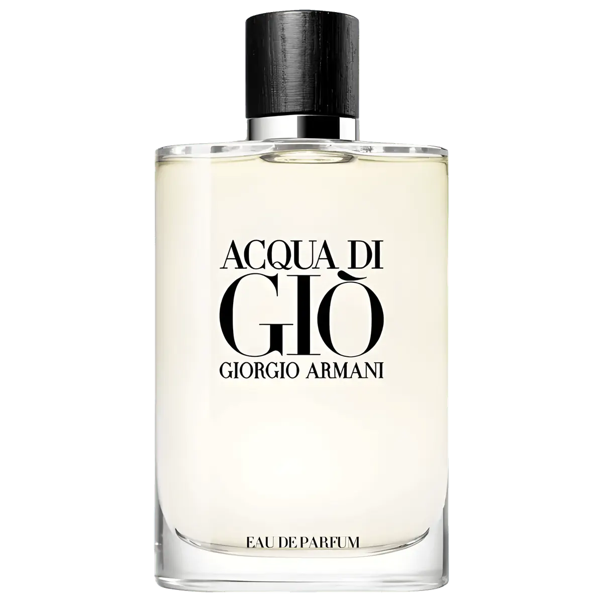 Giorgio Armani Acqua Di Giò Eau de Parfum - Perfume Masculino - 200ml