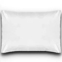 Protetor De Travesseiro Tc Fraldas - Pvc Siliconizado - Com Ziper - 50X70 Cm
