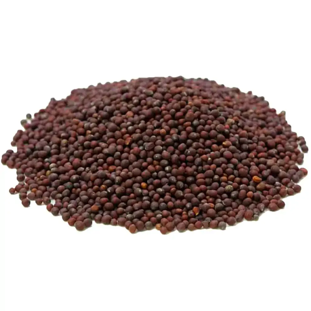 Semente De Mostarda Preta Para Acupuntura Auricular - 100g