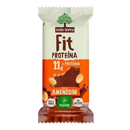 Barra de Proteína Mãe Terra Fit Pasta de Amendoim Vegana 40g