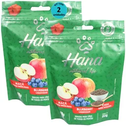 Hana Natural Life Maçã Blueberry Chia 80g Snacks Para Cães Adultos Kit C/ 2 un