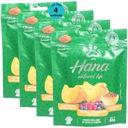 Hana Natural Life Abóbora Frutas Vermelhas Linhaça 80g Para Cães Adultos Kit C/ 4 Un
