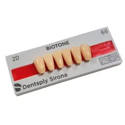 Dente Biotone Anterior Inferior - Dentsply Sirona - Dente Biotone 2D INF 66 - Dentsply Sirona