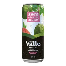 Suco Del Valle Mais Néctar de Goiaba 290ml