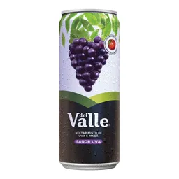 Suco Del Valle Mais Uva 290ml