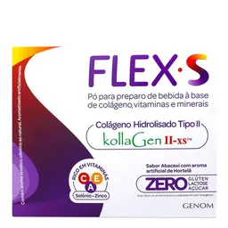 Flex-S União Química 4g 30 Sachês