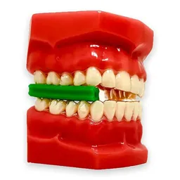 Mordedor Power Aligner com 4 Divisões Menta - Coraldent