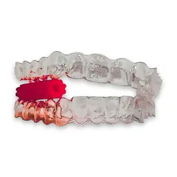 Mordedor Power Aligner 8 Menta - Coraldent