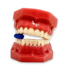 Mordedor Power Aligner 10 Menta - Coraldent
