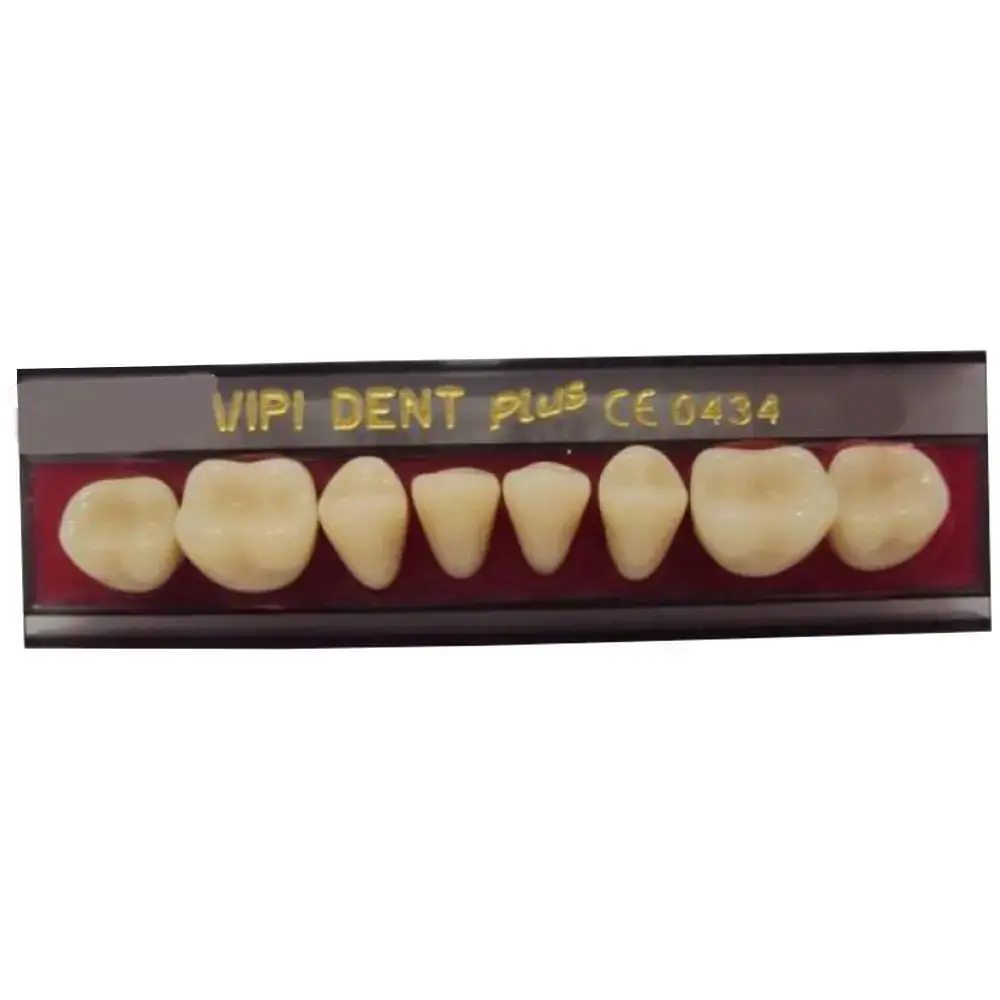 Dente Vipi Dent Plus Posterior Inferior - VIPI - 30l Cor 62 (Cód. 25.2966)