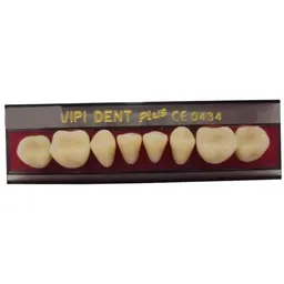 Dente Vipi Dent Plus Posterior Inferior - VIPI - 30l Cor 62 (Cód. 25.2966)