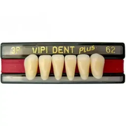 Dente Vipi Dent Plus Anterior Inferior - VIPI - 266 Cor 66 (Cód. 25.2956)
