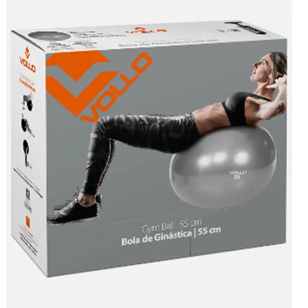 Gym Ball Vollo 55 cm cinza com Bomba