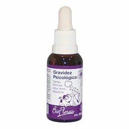 BIO FLORAIS - Gravidez Psicológica - 31ml