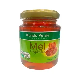 Mel Orgânico Mundo Verde Seleção 300g