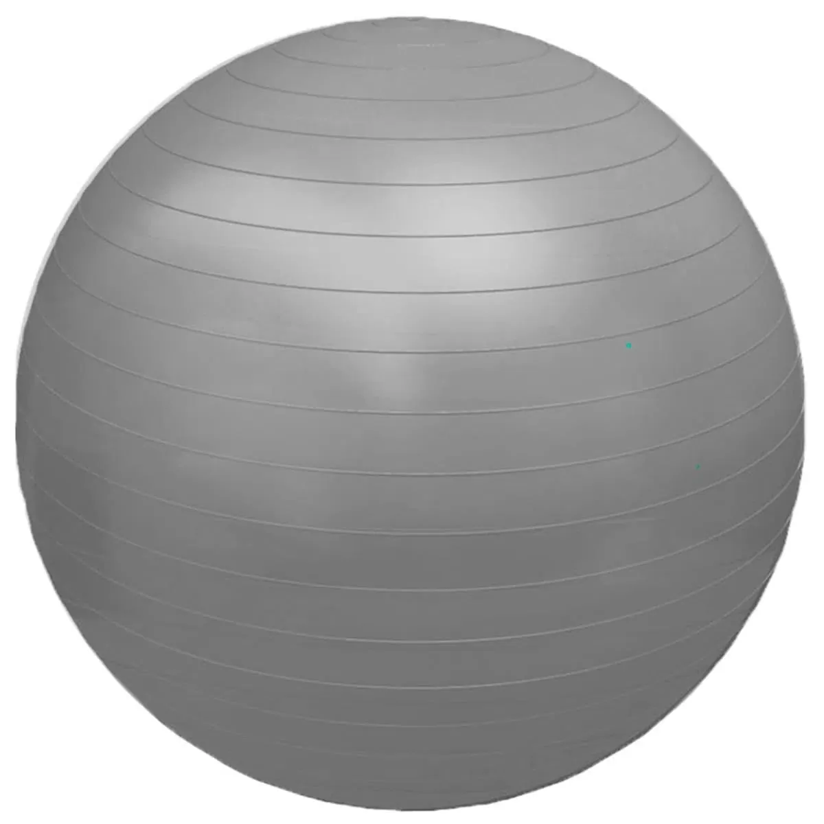 FG20 - Professional Fisioball Fisiopauher - Cor: Cinza                      Tam: 75cm
