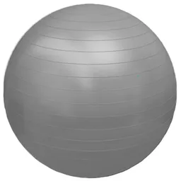 FG20 - Professional Fisioball Fisiopauher - Cor: Cinza                      Tam: 75cm