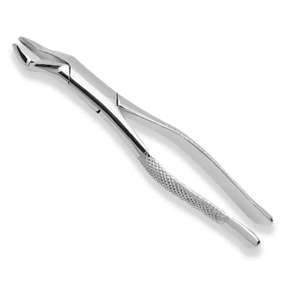 Forceps Odontológico Adulto - Golgran - Fórceps Odontológico Adulto 53R - Golgran
