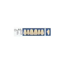 Dente Trilux Anterior Superior R175 cor IA- VIPI - R17s Cor 1a (Cód. 26.3465)