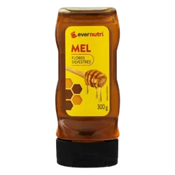 Mel Florada Silvestre Ever Nutri 300g